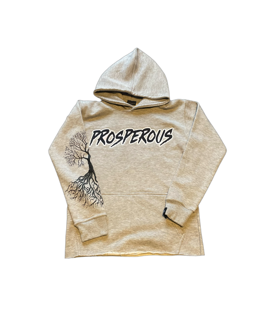 Streetwear Cropped Hoodie